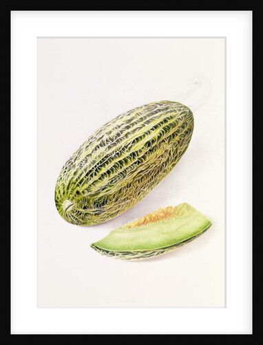 The Damsha Marrow by William Hooker