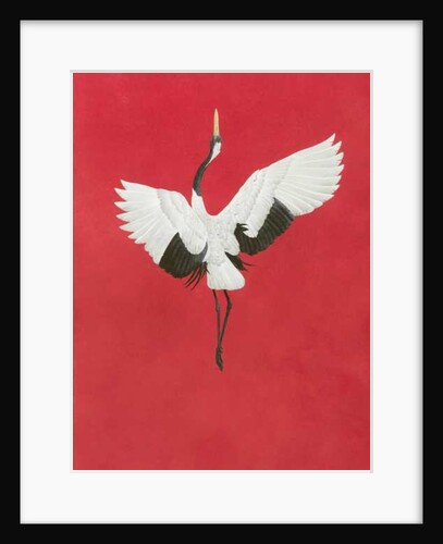 The Dance-Red by Tim Hayward