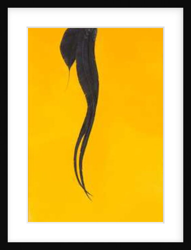 Soar by Tim Hayward