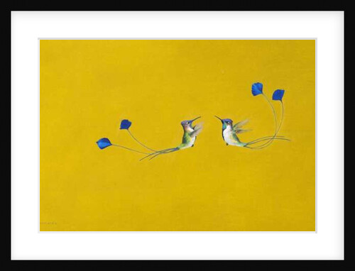 Hummingbirds by Tim Hayward