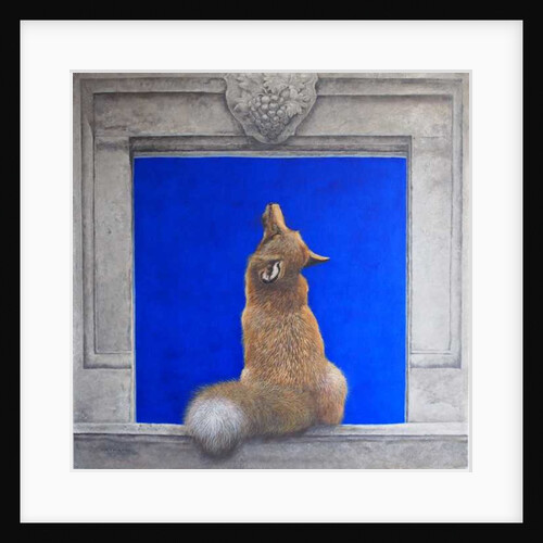 The Fox & Grapes by Tim Hayward