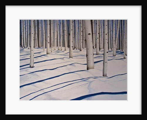Snow Covered Woods, 2017 by Tina Palmer