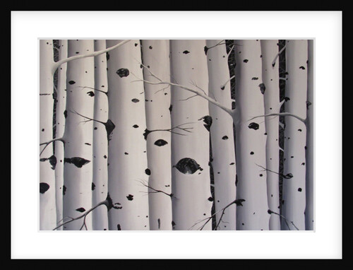 Birch Trees, 2017 by Tina Palmer