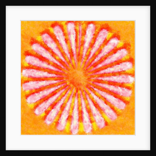 Flower, 2015 by Alex Caminker