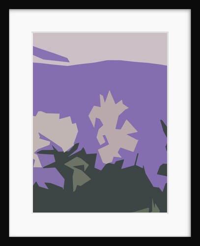 Vegetation in Mexico, 2016 by Alex Caminker