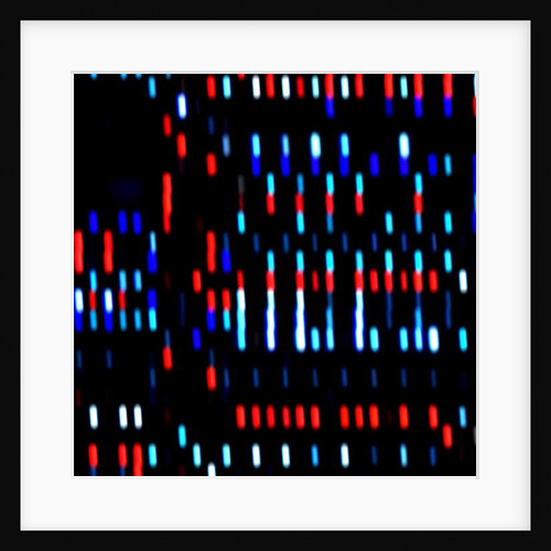 Untitled, 2017 by Alex Caminker