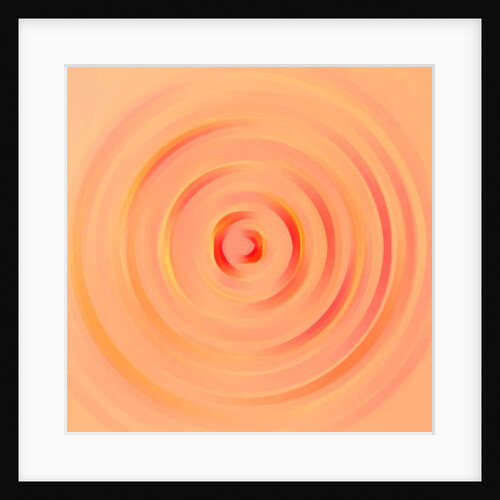 Rose, 2017 by Alex Caminker