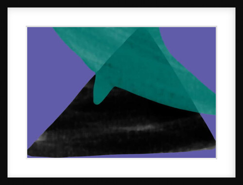 Bird as ashadow on the mountain at night, 2017 by Alex Caminker