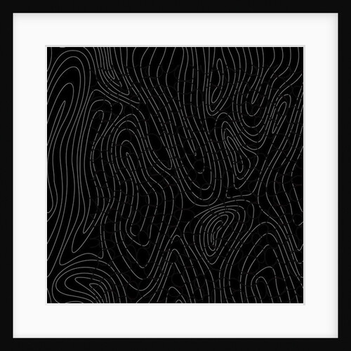 Tree rings, 2017 by Alex Caminker