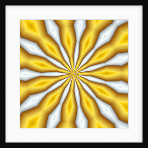 Flowers #12, 2019 by Alex Caminker