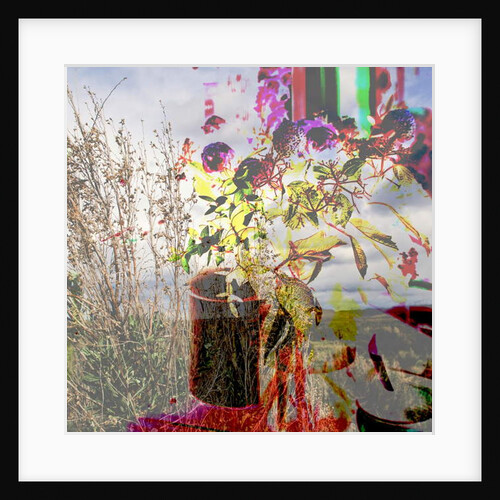 Still life, 2019 by Alex Caminker