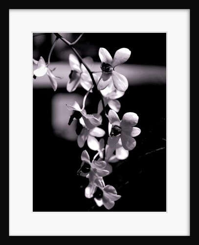 Bunch, 2019 by Alex Caminker