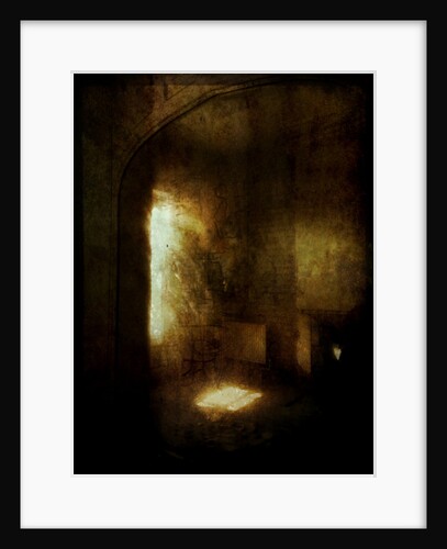 Beauty is a witch series Elvaston Castle...'words on a mirror' by Mark Gordon