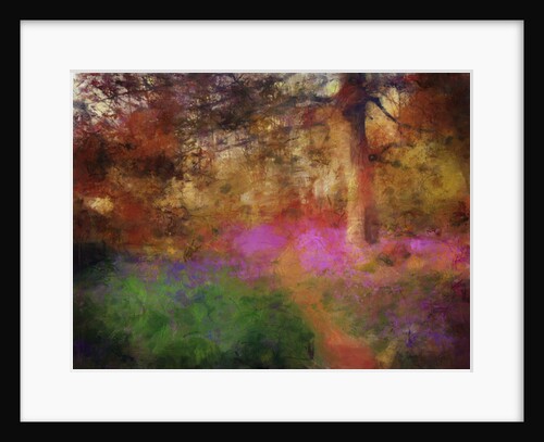 Bluebells at Calke Abbey by Mark Gordon