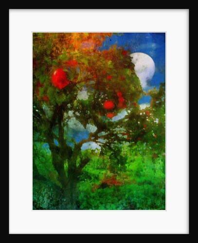 orchard in moonlight by Mark Gordon