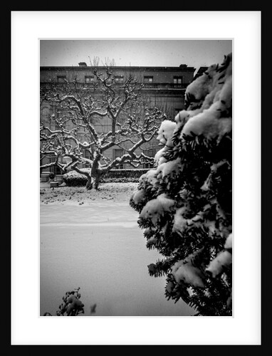 Frick Collection Winter Nº1, 2017 by Guilherme Pontes