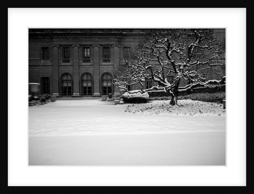 Frick Collection Winter Nº2, 2017 by Guilherme Pontes