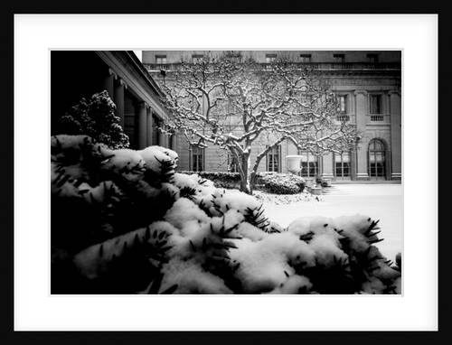 Frick Collection Winter Nº3, 2017 by Guilherme Pontes