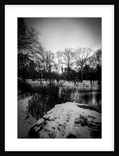 Central Park Winter Lake, 2017 by Guilherme Pontes