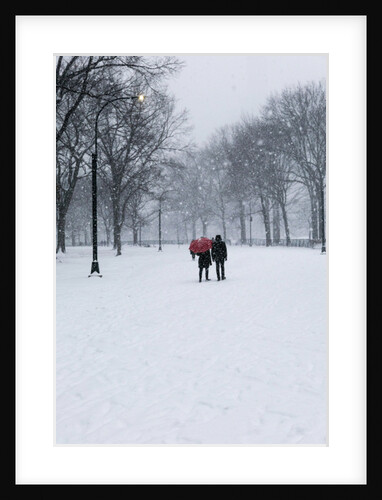 Central Park Winter Lovers, 2017 by Guilherme Pontes