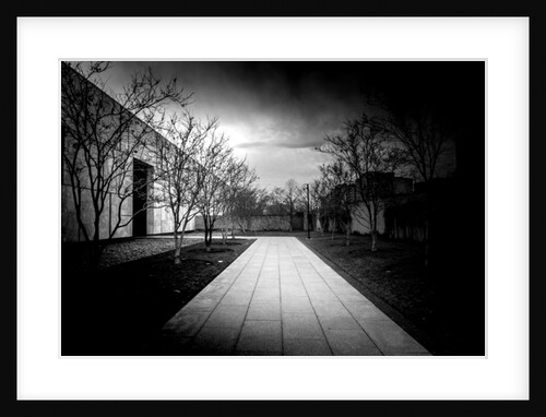 Barnes Foundation Nº1, 2017 by Guilherme Pontes