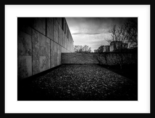 Barnes Foundation Nº2, 2017 by Guilherme Pontes