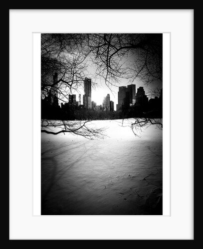 Central Park City & Trees Nº1, 2017 by Pontes Guilherme