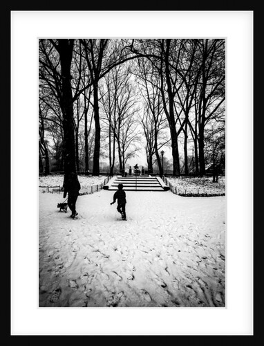 Central Park Steps, 2017 by Guilherme Pontes