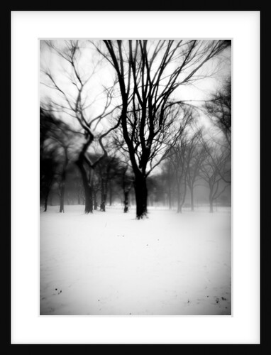 Dark Central Park Tree, 2017 by Guilherme Pontes