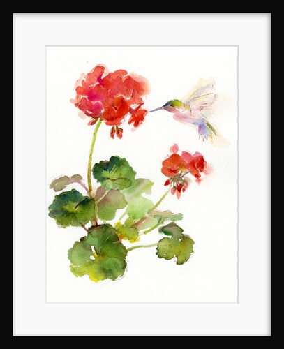 Hummingbird with Geranium, 2015 by John Keeling