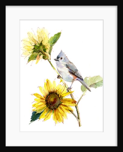 Titmouse with Sunflower, 2016 by John Keeling