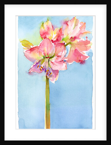 Amaryllis with aqua background, 2015 by John Keeling