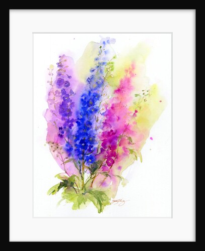 Delphinium, 2016 by John Keeling