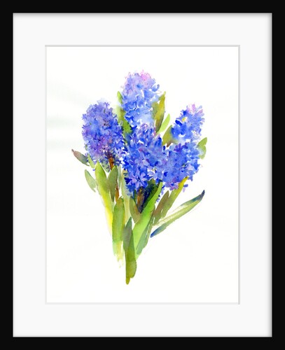 Blue Hyacinth, 2014 by John Keeling