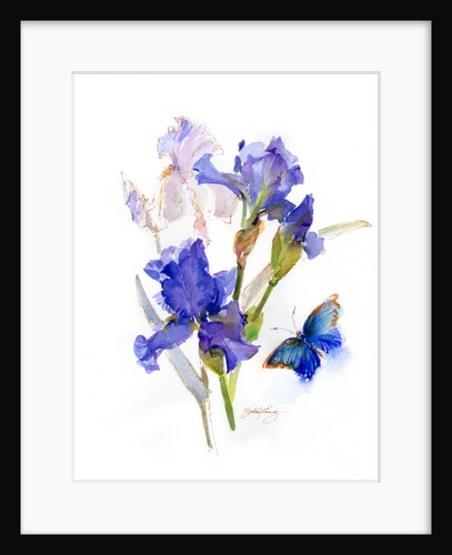 Iris with blue butterfly, 2016 by John Keeling