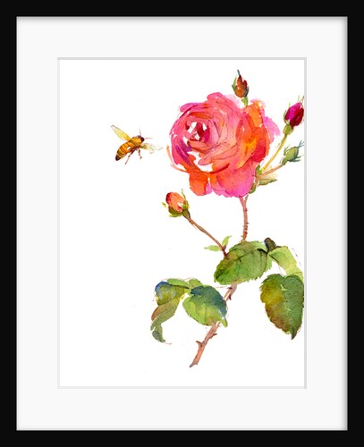 Rose with bee, 2014 by John Keeling