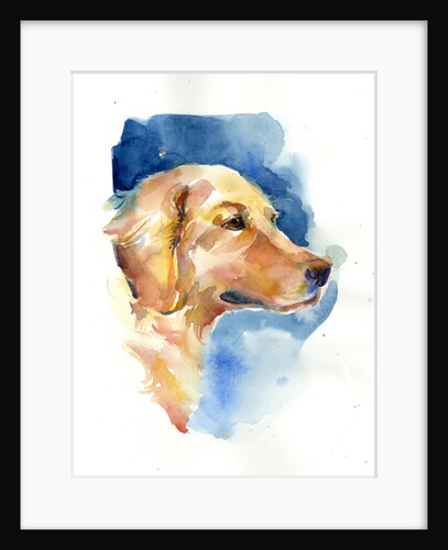 Golden Retriever, 2015 by John Keeling