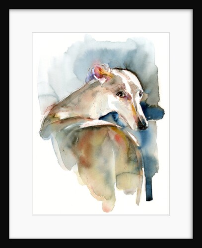 Greyhound Hope, 2016 by John Keeling