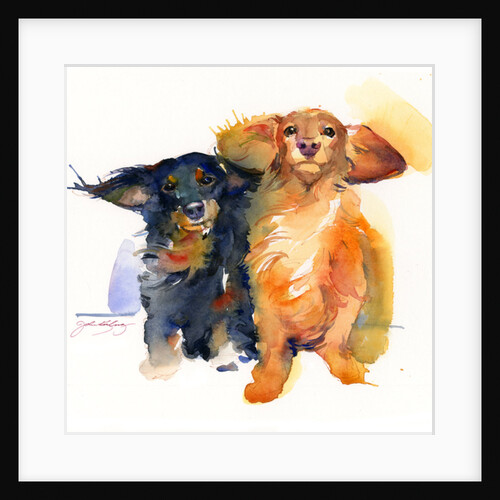 Dachshund Duo, 2014 by John Keeling