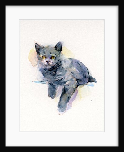 Grey kitten, 2017 by John Keeling