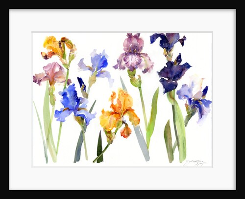 Iris, 2014 by John Keeling