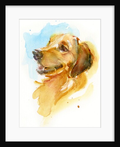 Golden Retriever, 2017 by John Keeling