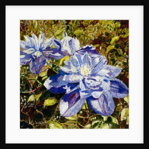 Clematis, 2015 by Mary Smith