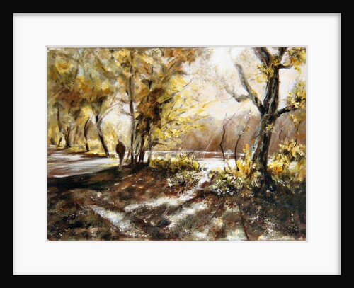 Walking beside Rudyard lake, 2008 by Mary Smith