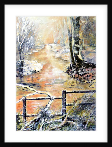 Early winters morning along Markeaton brook, 2014 by Mary Smith