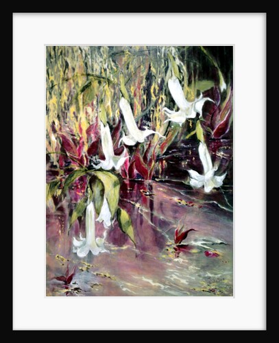 Daturas in Monet's Garden, 2013 by Mary Smith