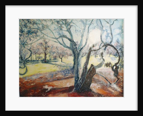 Spring in Darley Park, 2015 by Mary Smith