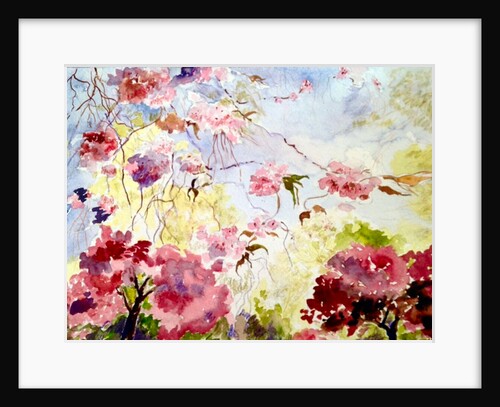 cherry blossoms in the park, 2017 by Mary Smith