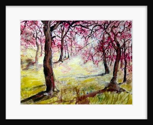 magenta blossoms, 2017 by Mary Smith