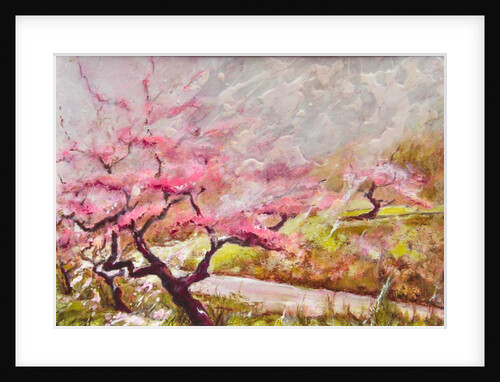 almond blossom in the mountains, 2017 by Mary Smith